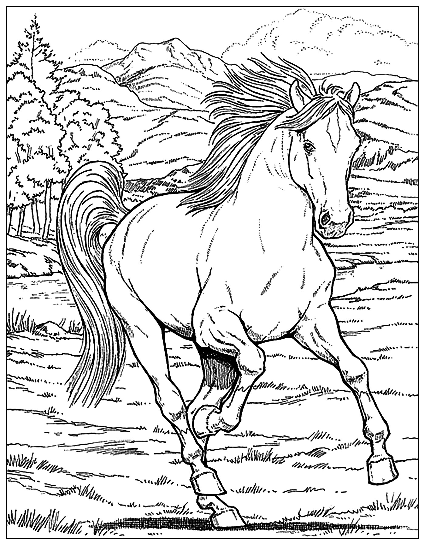 1400x1794 Horse