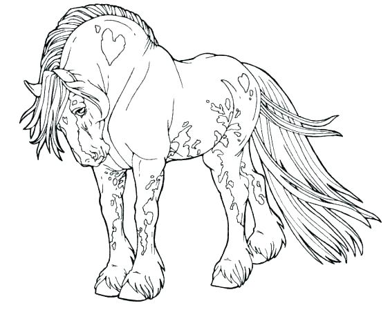 564x465 Horse Color Page Galloping Horse Horses Coloring Page Mare