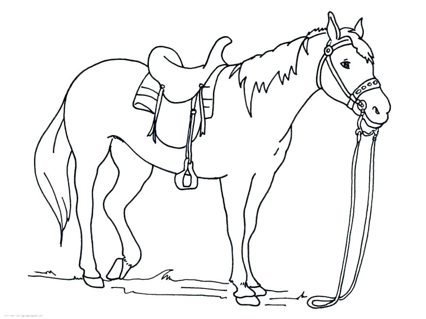 878x659 Horse Colouring Pictures Galloping Horse Horses Coloring Page Mare