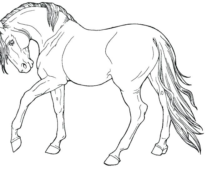 678x600 Coloring Pages Of Horses Packed With Printable Coloring Page