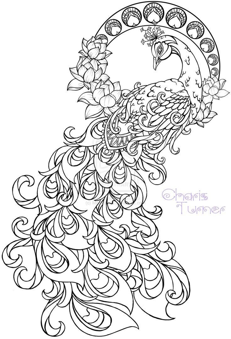 736x1081 Gamera Coloring Pages Beautiful 108 Best Coloring Pages Images