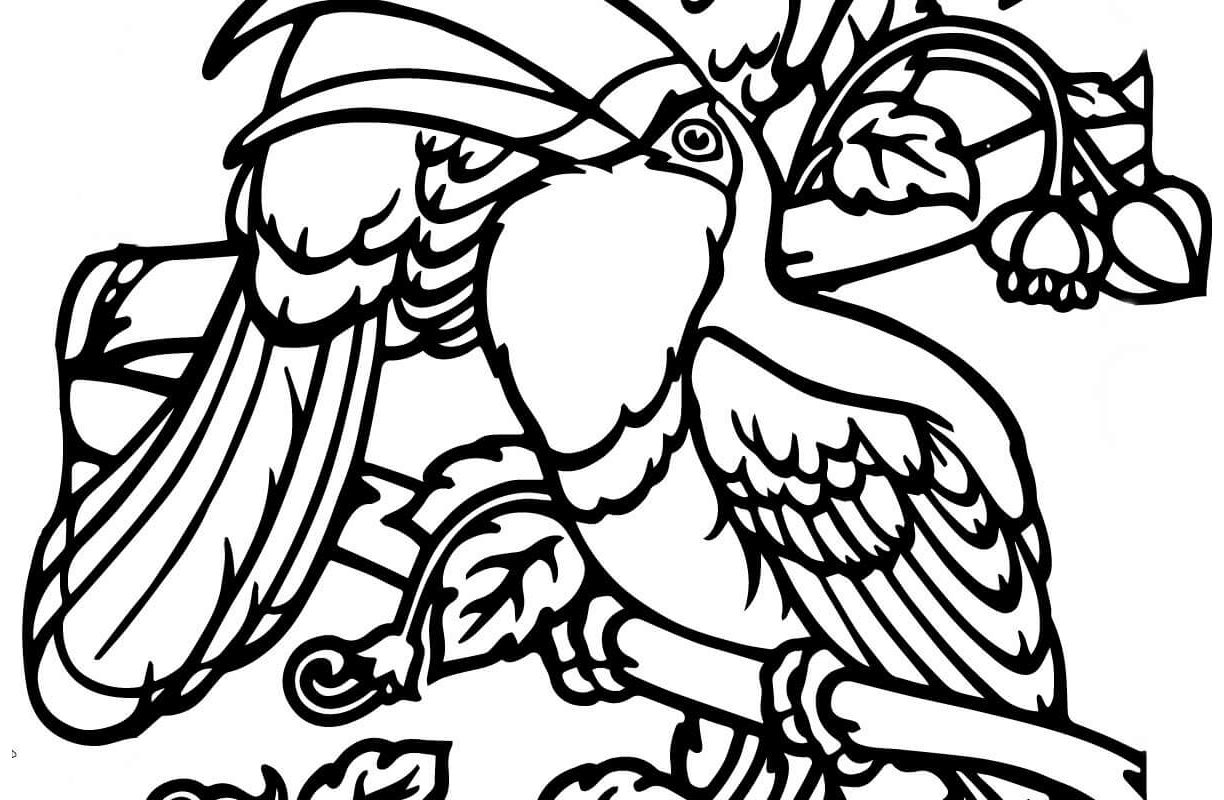 1224x800 Awesome Jamestown Colony Coloring Pages Adornment