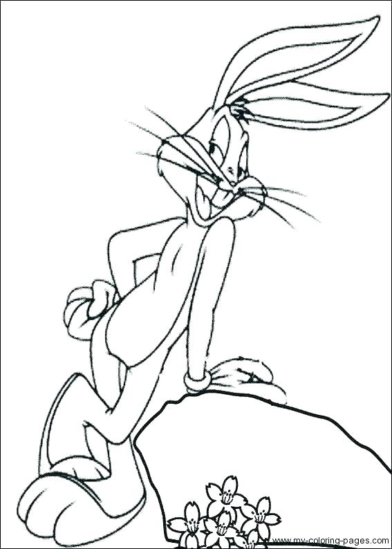 567x794 Knuffle Bunny Coloring Pages Bunny Coloring Pages Harpy Eagle Page