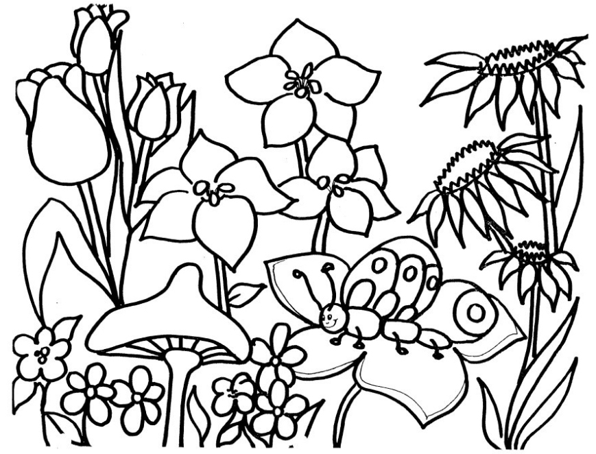 869x662 Flower Garden Coloring Page Amp Coloring Book