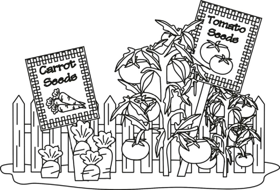958x650 Free Printable Vegetable Garden Coloring Pages Free Coloring