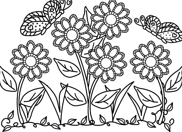 600x435 Butterfly With Flower In The Garden Colouring Pages Color Luna