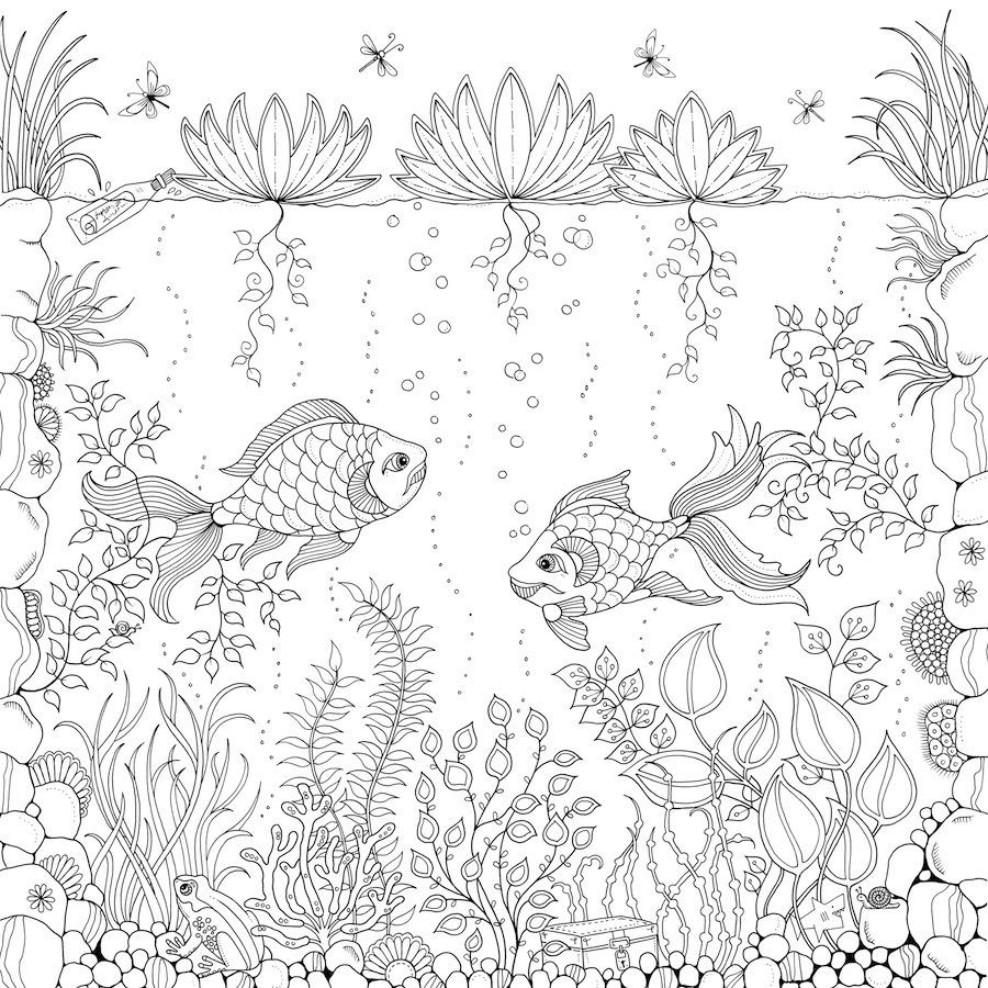 900x900 Secret Garden Coloring Pages