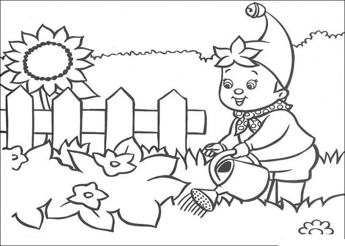 700x499 Garden Pictures To Color Gardening Coloring Pages Noddy And Plants