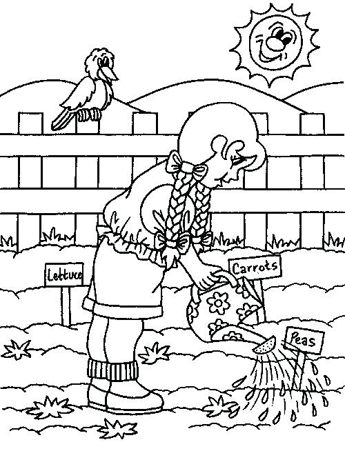 500x654 Gardening Coloring Pages For Preschool Garden Coloring Pages