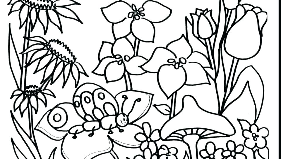 960x544 Butterfly On Garden Spring Day Coloring Picture For Kids Spring