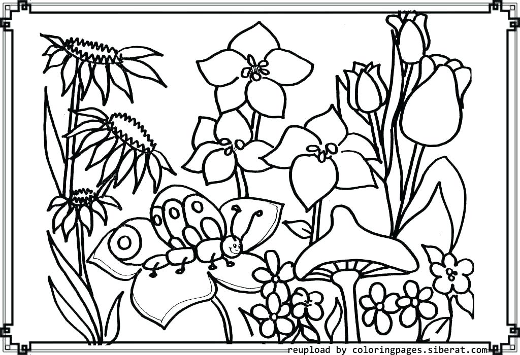 1024x700 Flower Garden Coloring Pages Page House