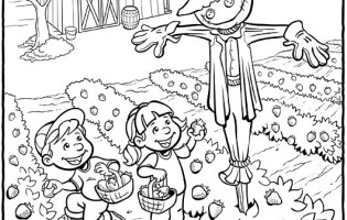 315x200 Garden Coloring Pages