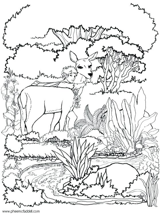 558x750 Fairy Garden Coloring Pages Fairy Garden Coloring Page
