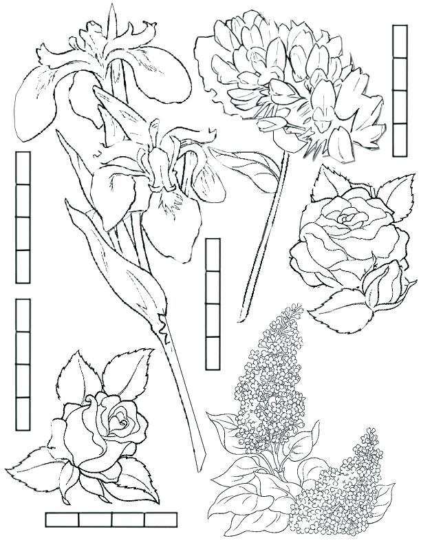 612x792 Rosetta Garden Fairy Coloring Pages Paper Craft Secret