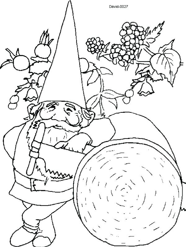 600x793 Garden Gnome Color Pages Free Printable Gnomes Coloring Images
