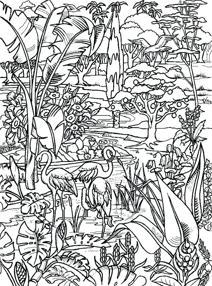 736x991 Garden Of Eden Coloring Pages Freedmme Garden Of Eden Coloring