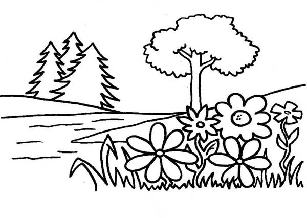 600x426 Garden Of Eden Coloring Page Tree Of Life In Garden Of Eden