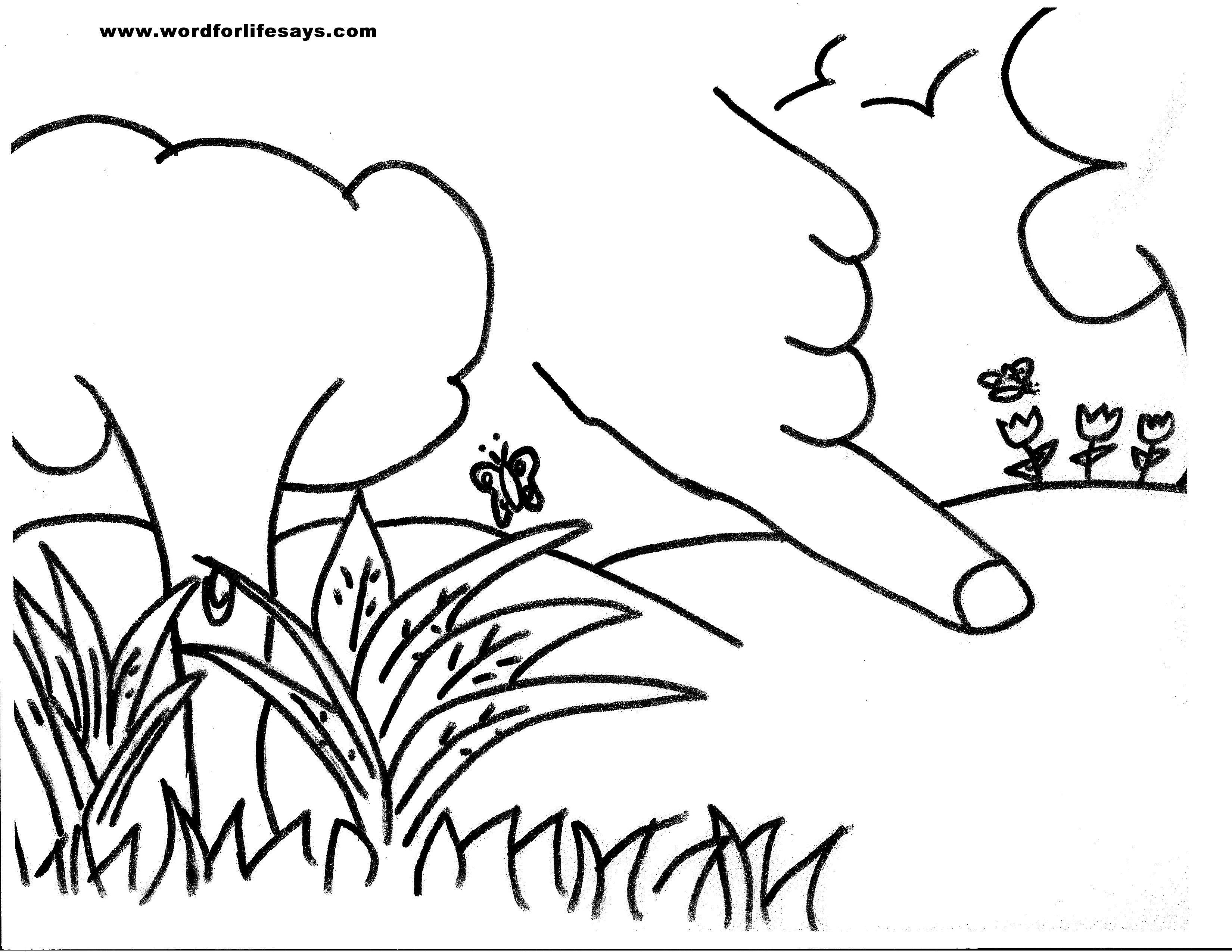 3300x2550 Tree Of Knowledge Of Good And Evil Free Coloring Pages Download
