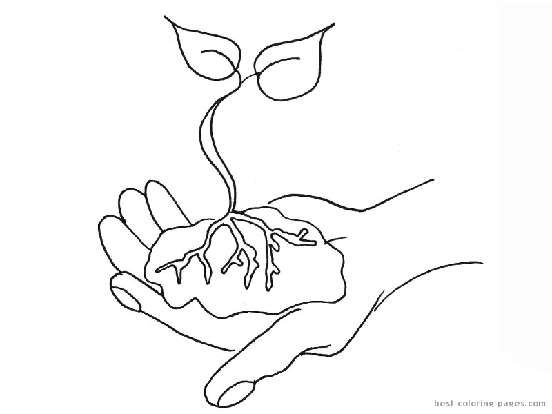 Gardening Tools Coloring Pages
