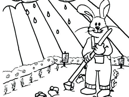440x330 Garden Coloring Sheets Spring Garden Coloring Pages Garden