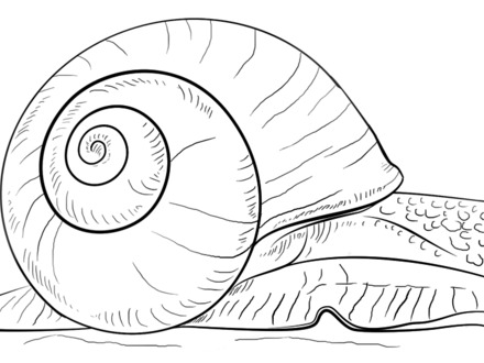 440x330 34 Snail Coloring Pages, Gary The Snail Coloring Pages Coloring