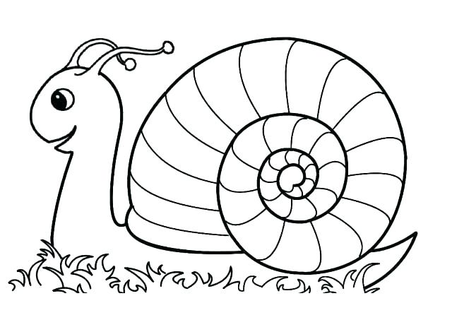 640x453 Coloring Pages Mollusks Snail Reaching Finish Line Coloring Pages