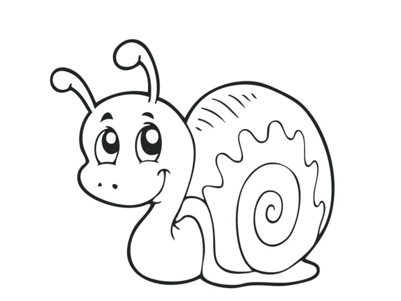 800x600 Snail Coloring Page Share Cute Snail Coloring Pages Free Printable