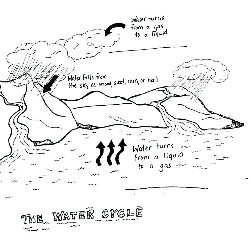 800x788 Water Cycle Coloring Pictures Water Cycle Coloring Page For Kid