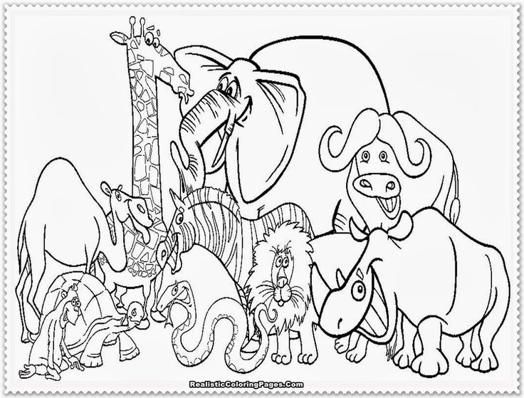 736x559 41 Elegant Pictures Of Zoo Coloring Pages Coloring Pages