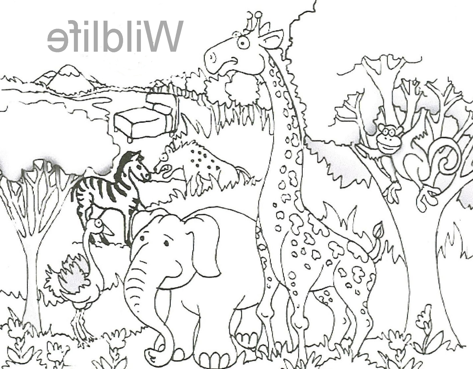1645x1285 Zoo Entrance Coloring Page Zoo Gate Coloring Page Coloring Panda