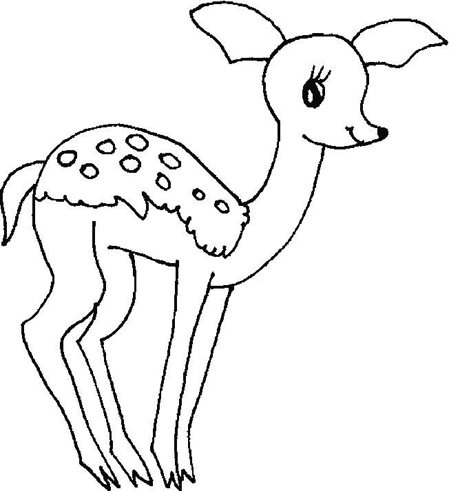 652x713 Deers Coloring Page 4 Antelope Coloring Pages
