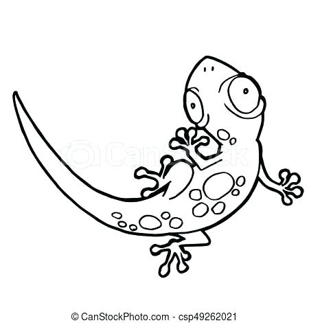 450x470 Gecko Coloring Page Epic Gecko Coloring Pages New Gecko Coloring