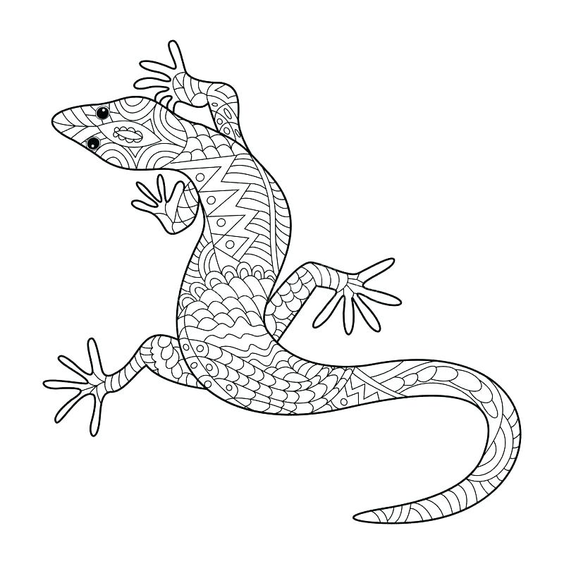 800x800 Gecko Coloring Page Gecko Coloring Pages Lizard Leopard Crested