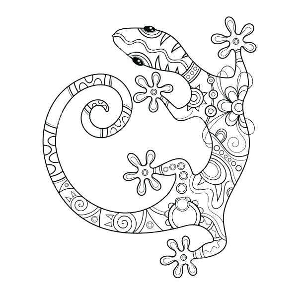 604x600 Gecko Coloring Pages Crested Gecko Colouring Pages Best Cards