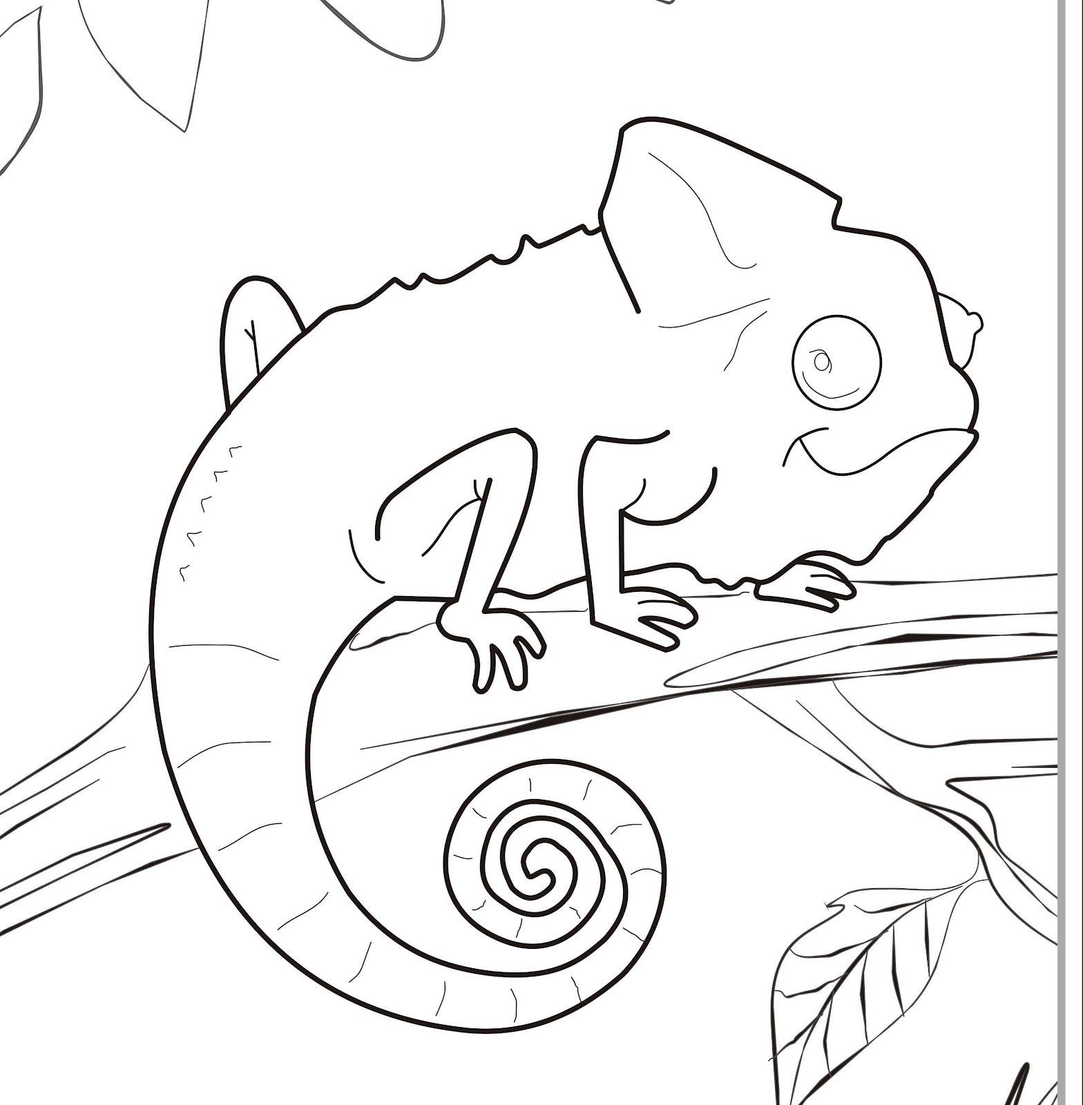 1568x1600 Chameleon Coloring Pages Download