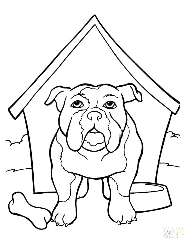 618x800 Gecko Coloring Pages Marine Coloring Page Marine Coloring Page