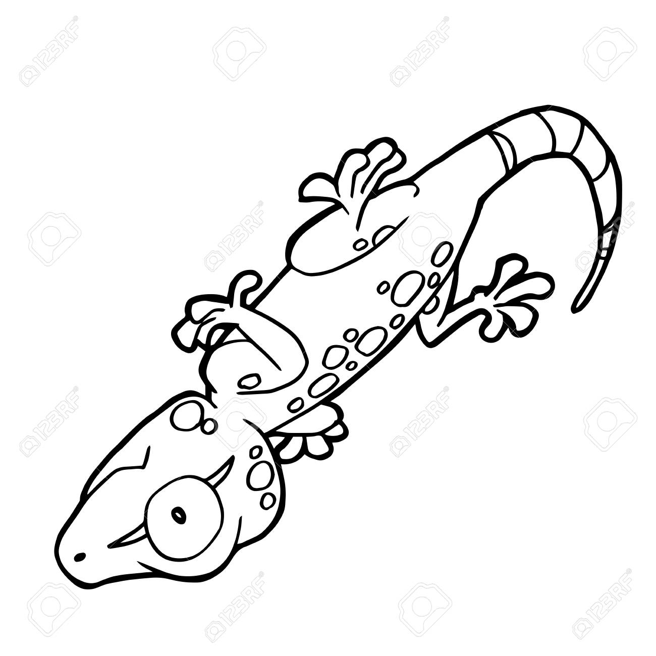 1300x1300 Lizard Coloring Pages For Part Geico Gecko Page Leopard Sheets
