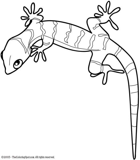 540x617 Gecko Audio Stories For Kids Amp Free Coloring Pages From Light Up