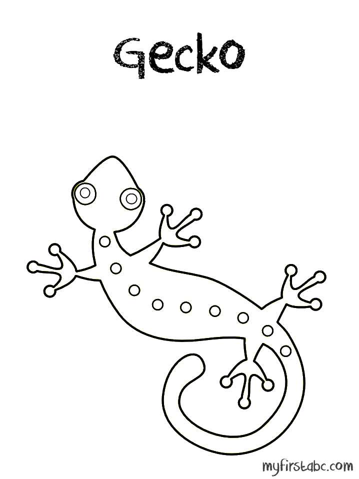 Gecko Coloring Pages Printable