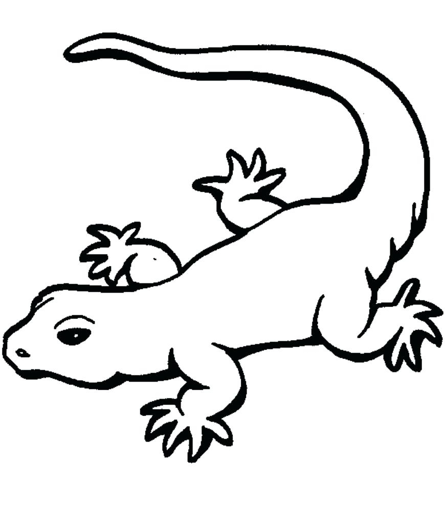 870x1032 New Gecko Page To Color Design Printable Coloring Sheet