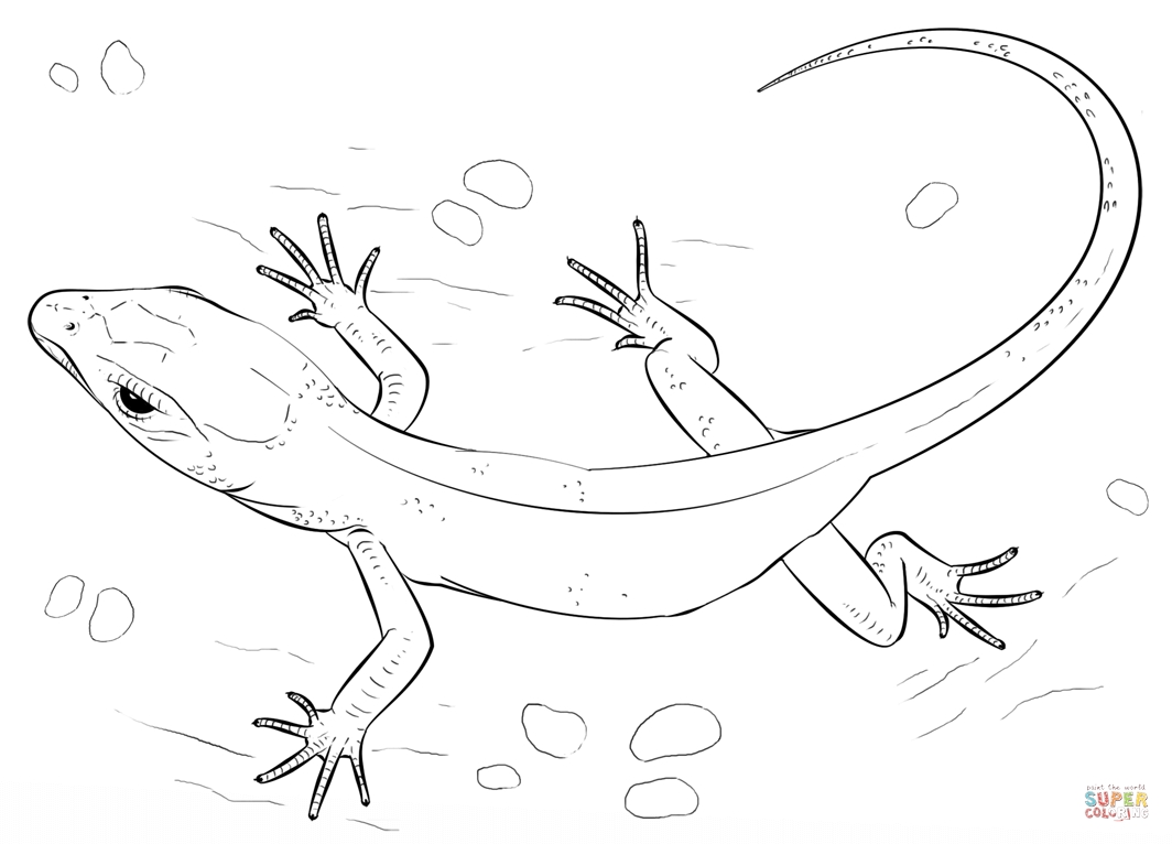 1064x766 Simplistic Crested Gecko Coloring Page Highest On A Tree Free