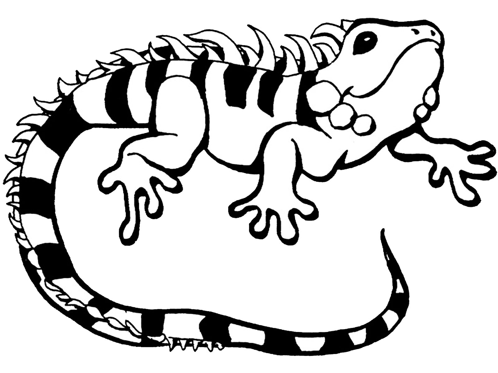 1600x1200 Fabulous Gecko Coloring Pages Almost Unique Article Cute Iguana