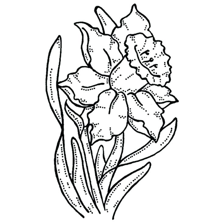 736x736 Drawing With Gel Pens At Free Personal Use Coloring Pages