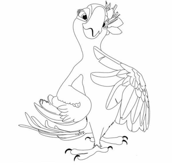 600x576 Jewel The Gem Of The Forest In Rio Movie Coloring Pages Batch