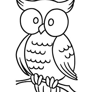 300x300 The Origin Of Pineapple Plant Coloring Page