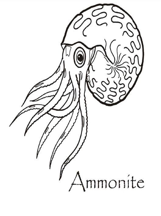 529x709 Geology Coloring Pages For Kids