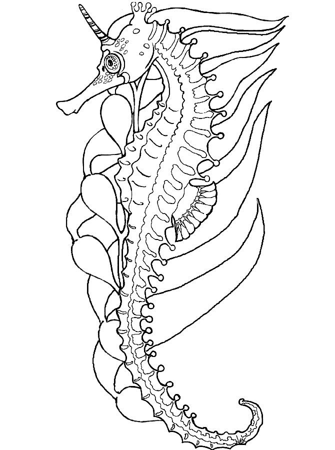 670x900 Awesome Geology Coloring Pages 81 Best Coloring Pages Images