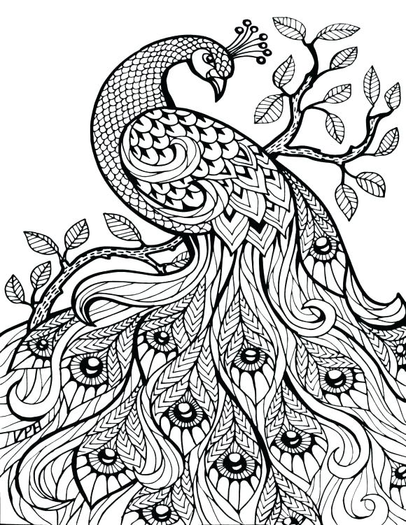 580x751 Geometric Coloring Pages Adults Free Printable P Interest For G