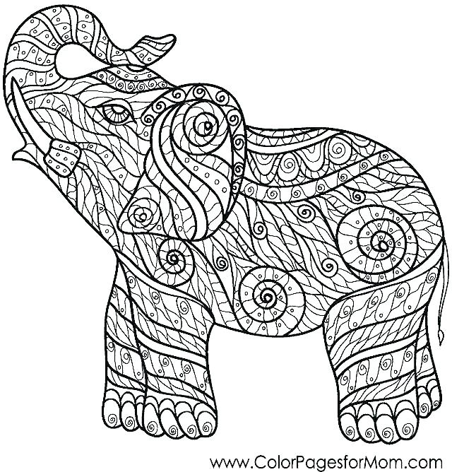 640x668 Free Elephant Coloring Pages Free Printable Elephant Coloring