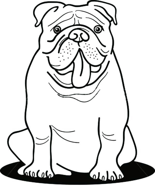 600x746 Bulldog Coloring Pages Funny Bulldog Coloring Pages Georgia